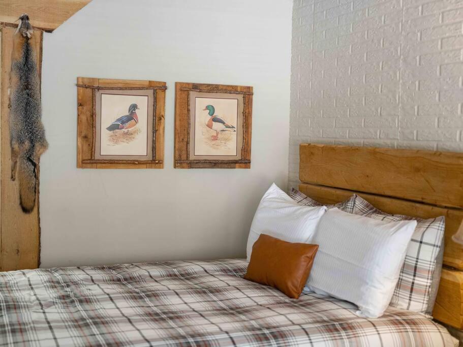 Stonegate Lodge 2 Queen Beds Fast Wifi 50In Tv Salt Water Pool Room # 305 Eureka Springs Luaran gambar
